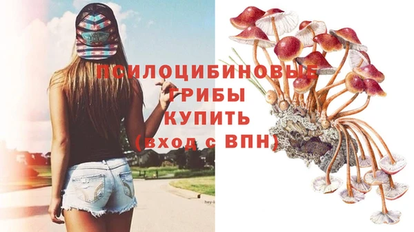 гидра Балабаново