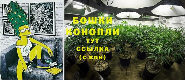ECSTASY Балахна